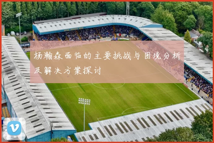 杨瀚森面临的主要挑战与困境分析及解决方案探讨