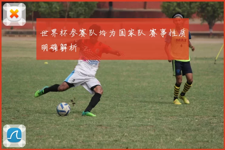 世界杯参赛队均为国家队 赛事性质明确解析
