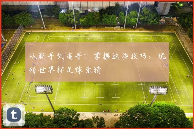 从新手到高手：掌握这些技巧，玩转世界杯足球竞猜