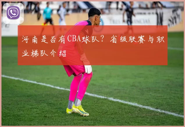河南是否有CBA球队？省级联赛与职业梯队介绍