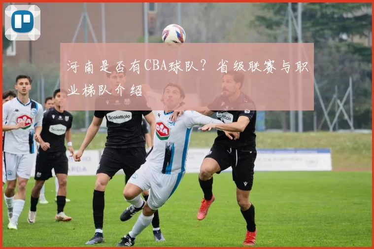 河南是否有CBA球队？省级联赛与职业梯队介绍