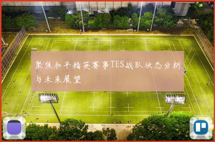 聚焦和平精英赛事TES战队状态分析与未来展望