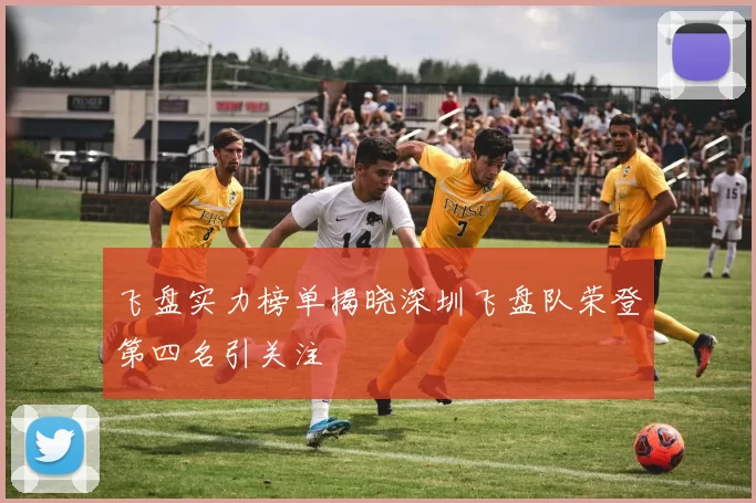 飞盘实力榜单揭晓深圳飞盘队荣登第四名引关注