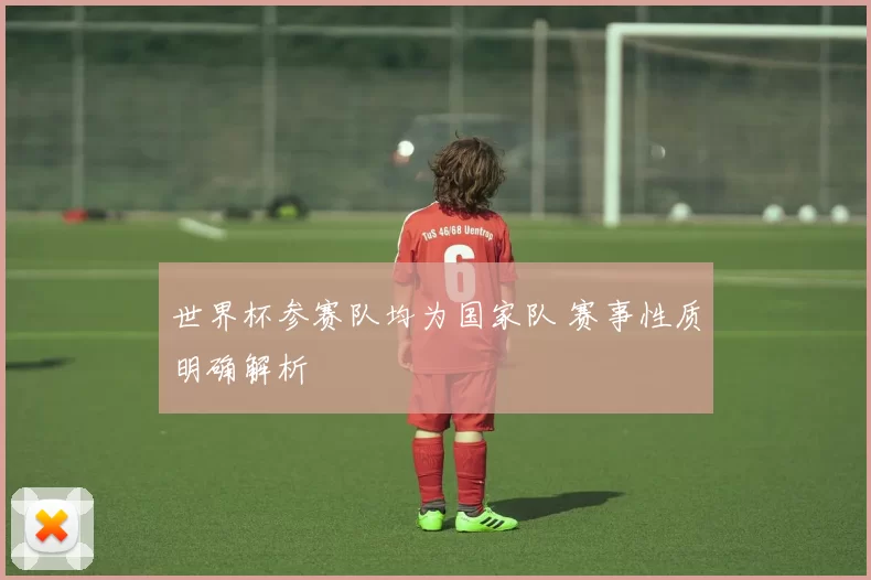 世界杯参赛队均为国家队 赛事性质明确解析