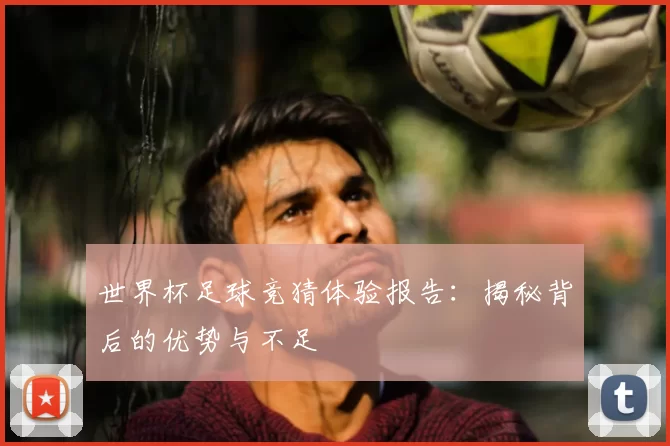 世界杯足球竞猜体验报告：揭秘背后的优势与不足