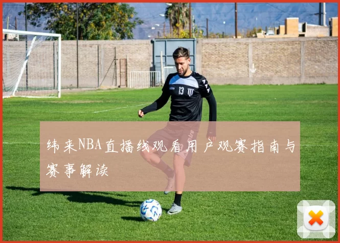 纬来NBA直播线观看用户观赛指南与赛事解读