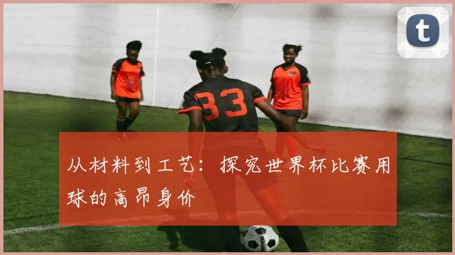从材料到工艺:探究世界杯比赛用球的高昂身价