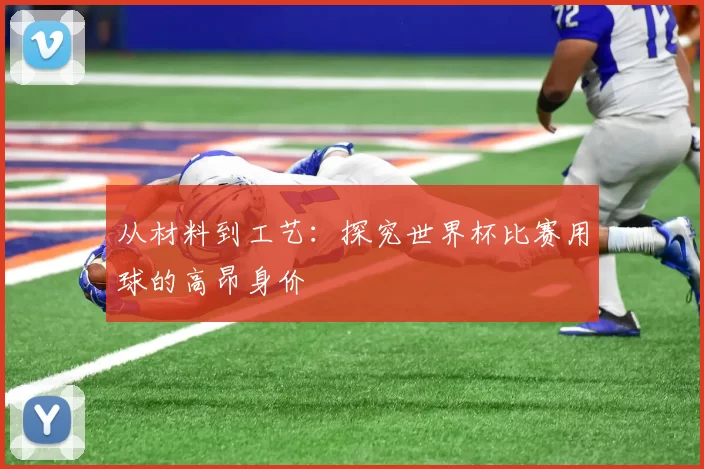 从材料到工艺:探究世界杯比赛用球的高昂身价