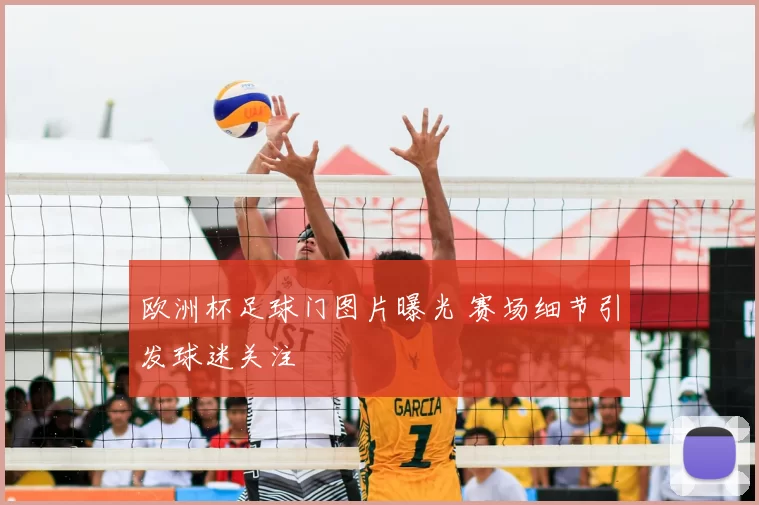 欧洲杯足球门图片曝光 赛场细节引发球迷关注