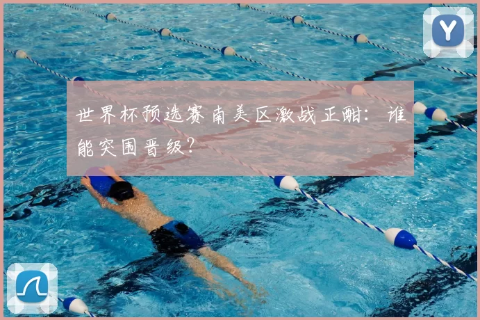 世界杯预选赛南美区激战正酣：谁能突围晋级？