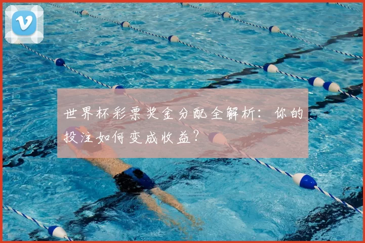 世界杯彩票奖金分配全解析:你的投注如何变成收益?