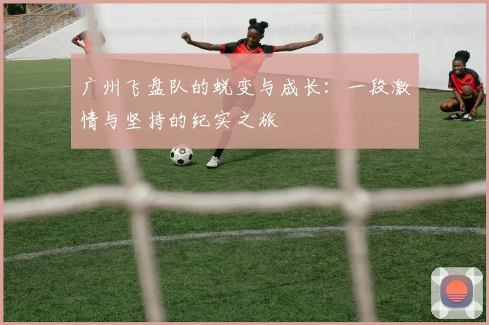 广州飞盘队的蜕变与成长：一段激情与坚持的纪实之旅