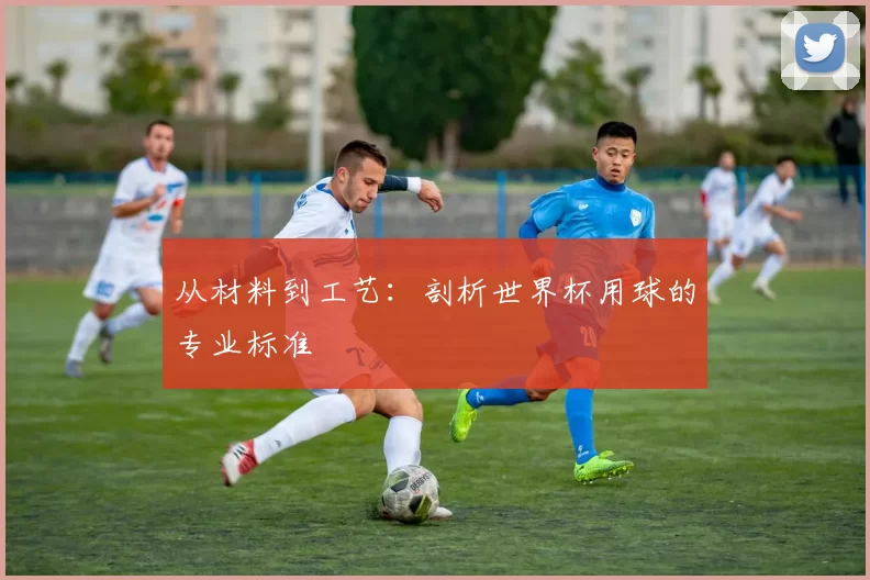 从材料到工艺:剖析世界杯用球的专业标准